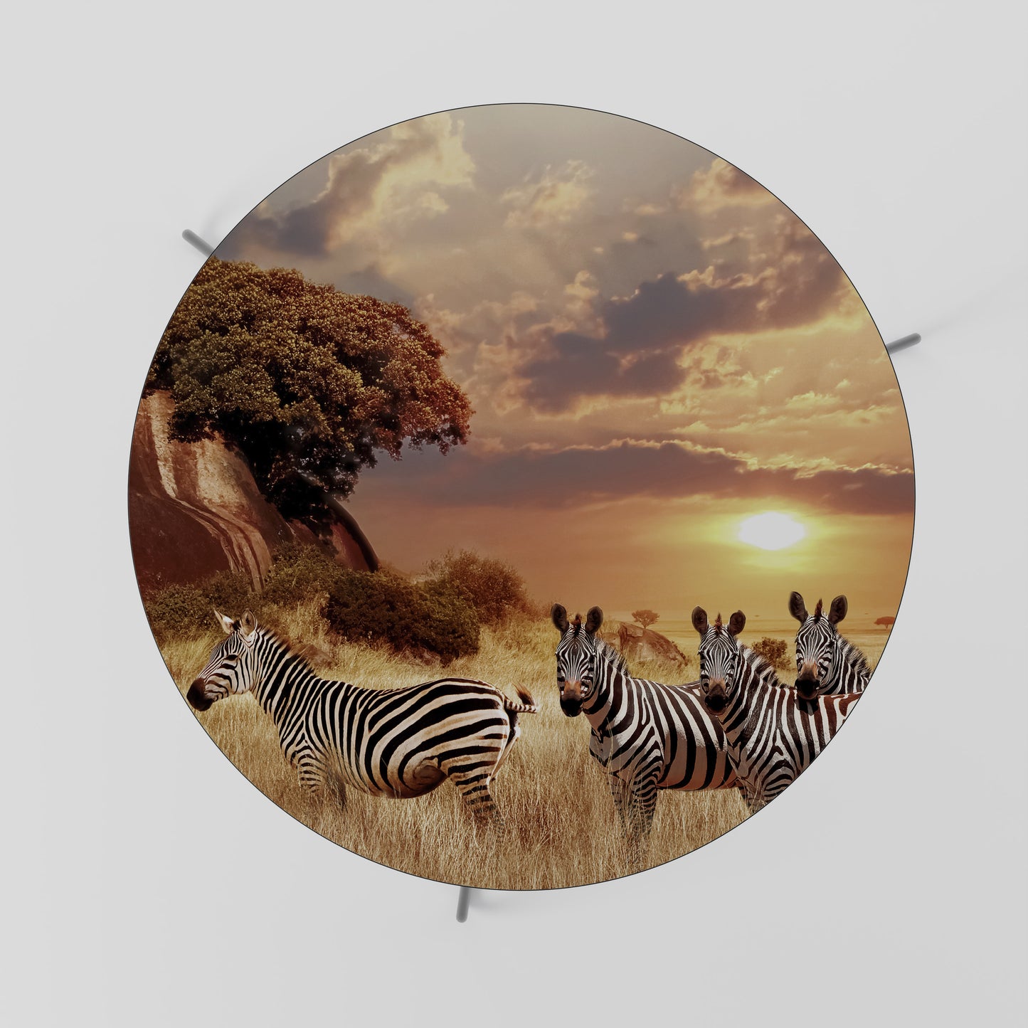 ZEBRA SUNSET SERENADE Coffee Table 69