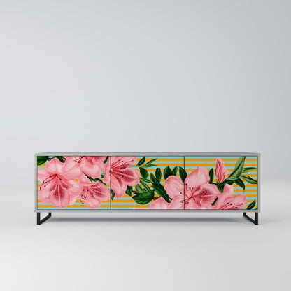 FRAGILE BEAUTY Mobile TV a 3 Ante in Finitura Grigia