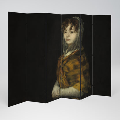 WHISPERS OF HISTORY Decorative 6-Panel Room Divider