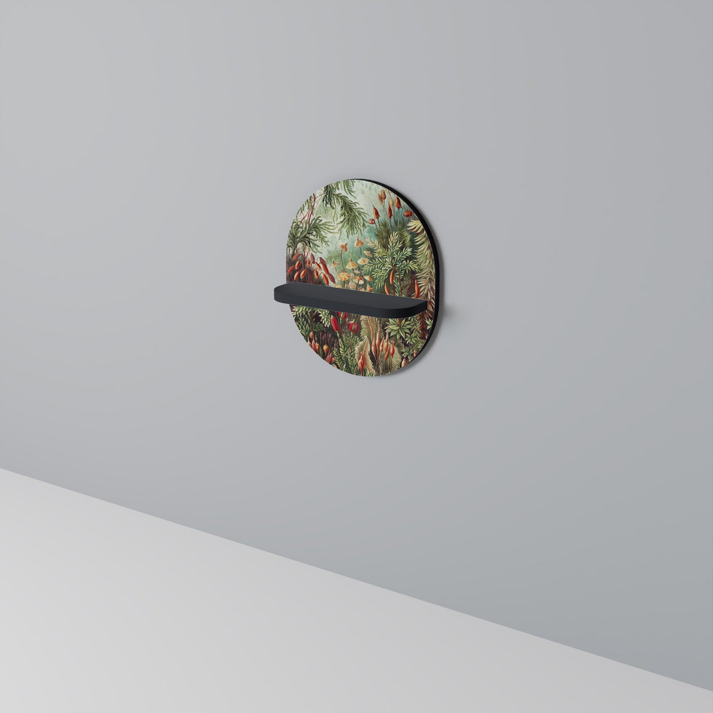 MUSCINAE LAUBMOOSE Oval Art Shelf In Black Finish