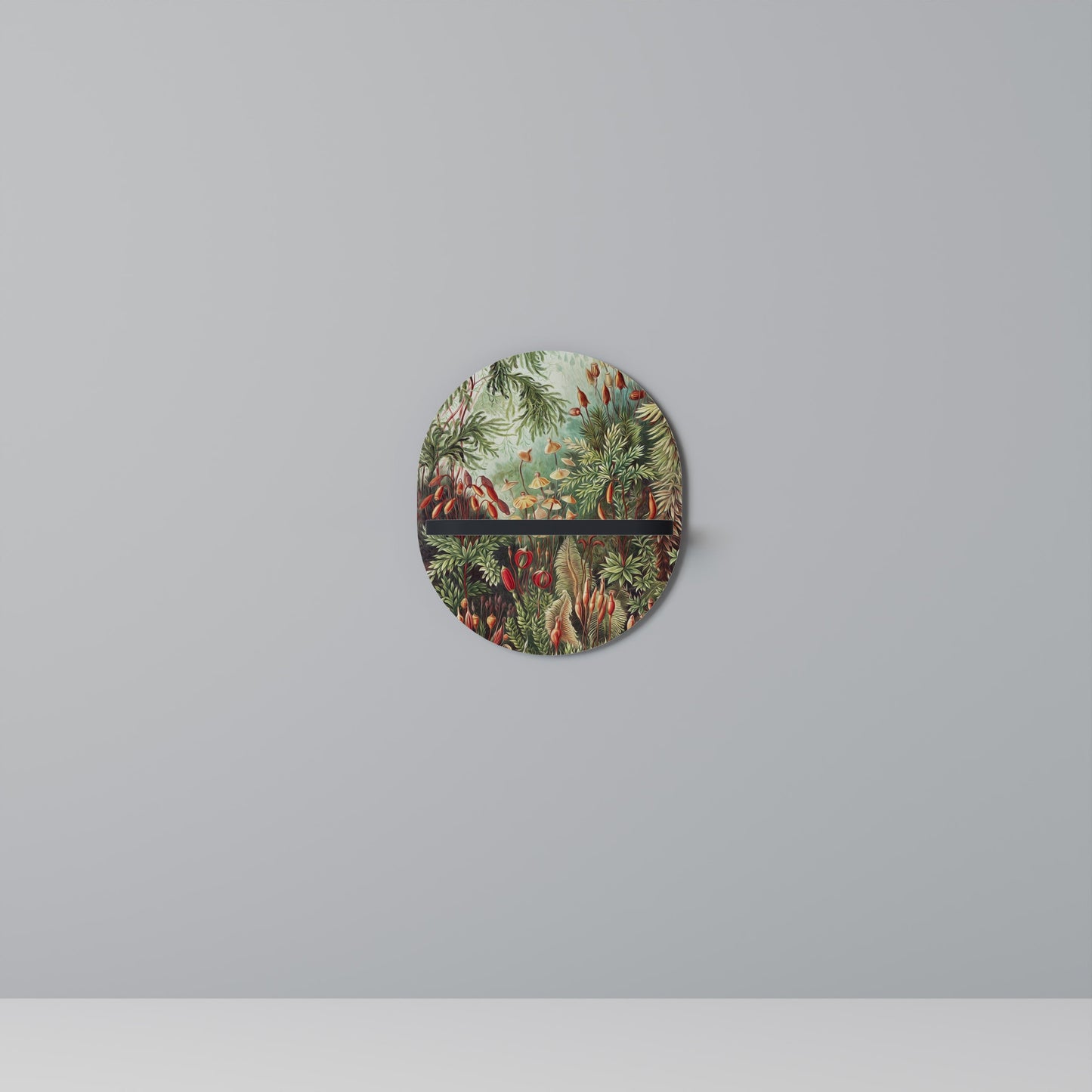 MUSCINAE LAUBMOOSE Oval Art Shelf In Black Finish