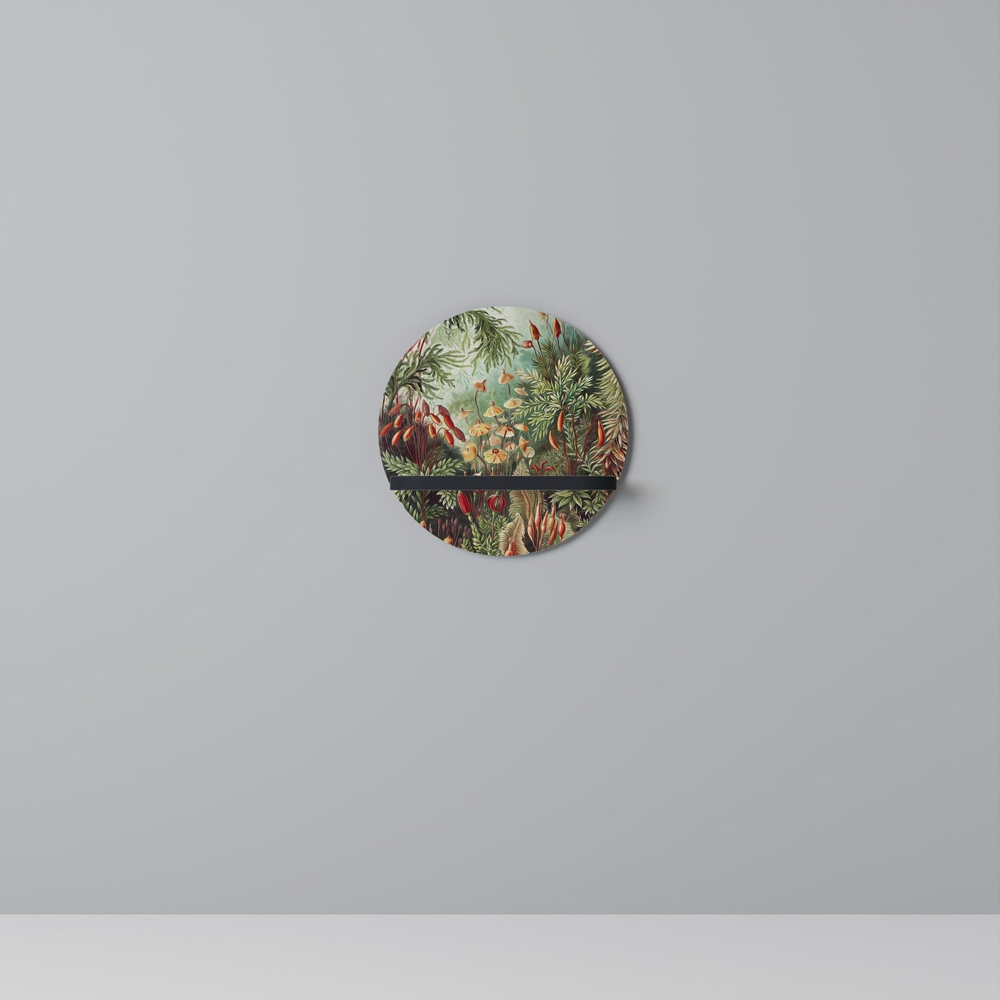 MUSCINAE LAUBMOOSE Round Art Shelf In Black Finish