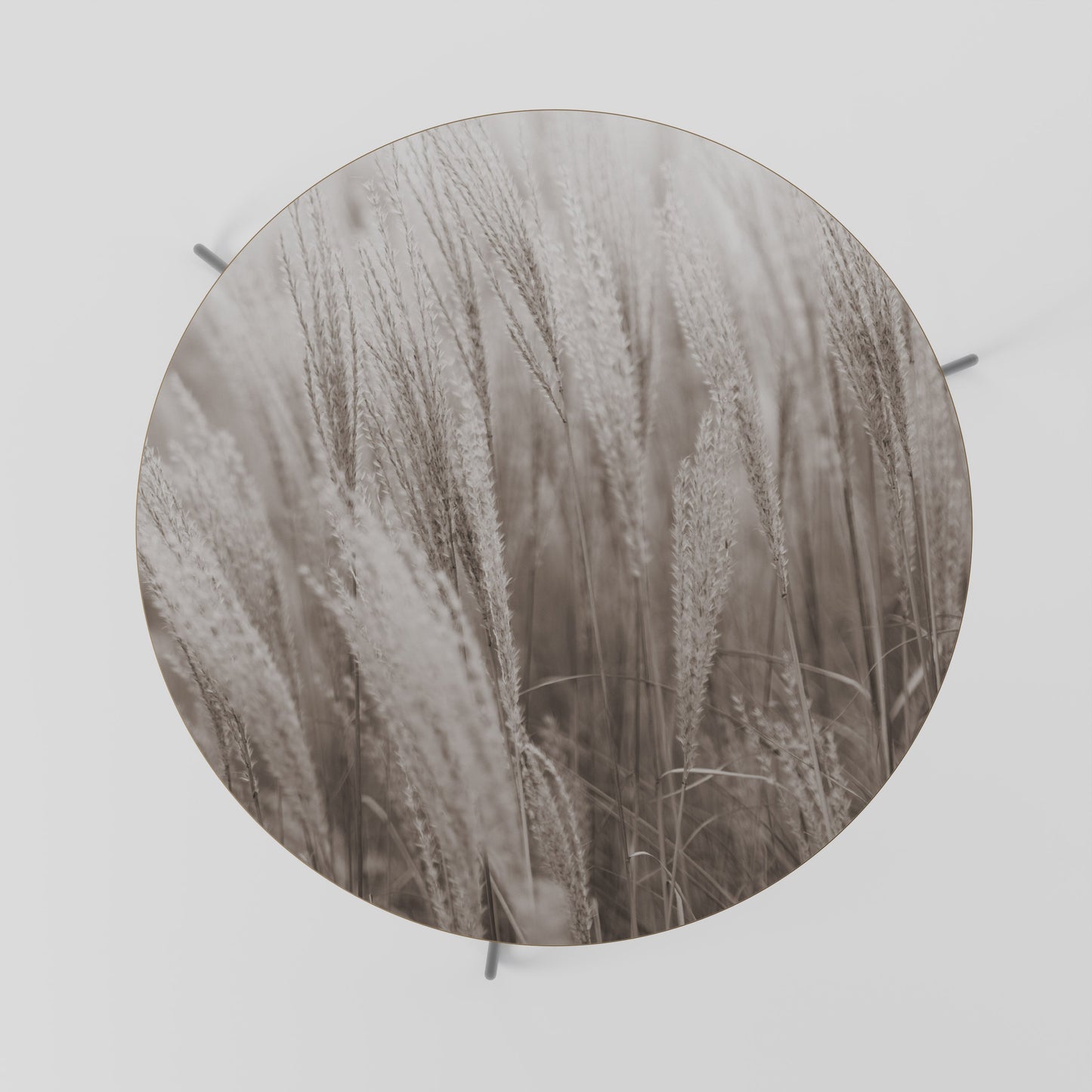 WHISPERS OF GRASS Coffee Table 69