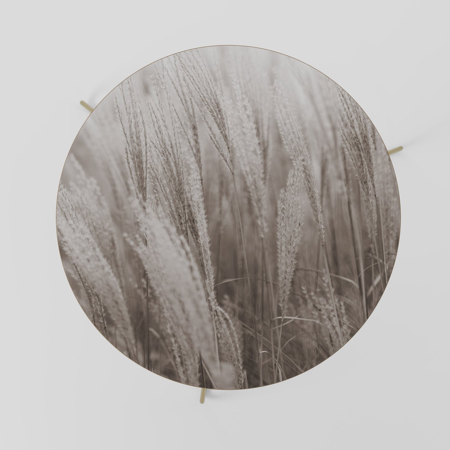 WHISPERS OF GRASS Coffee Table 69