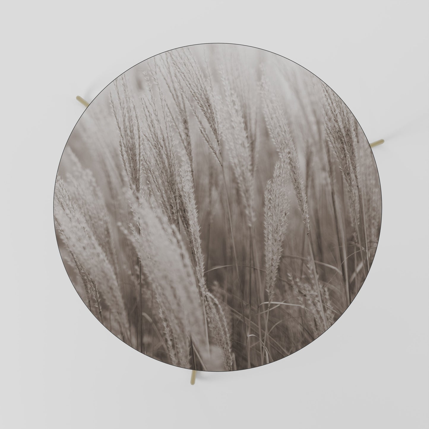 WHISPERS OF GRASS Coffee Table 69