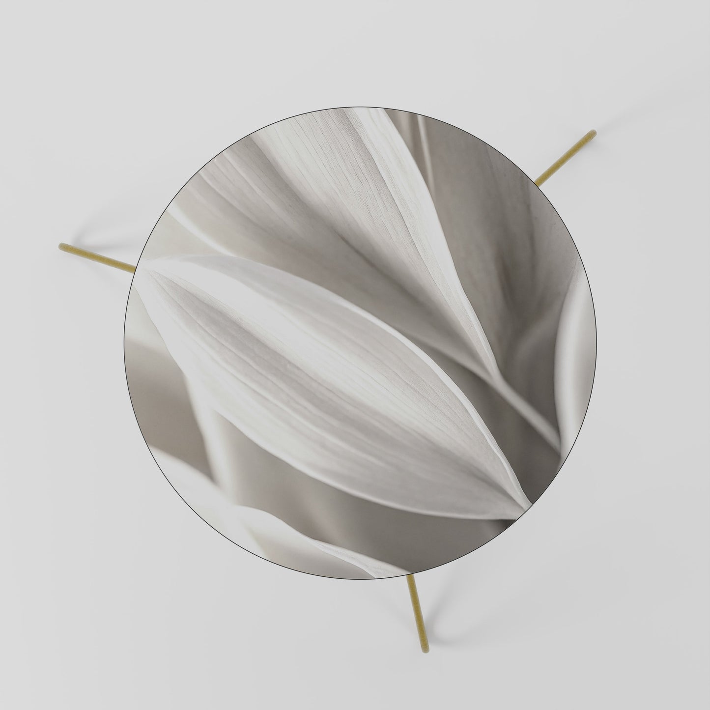 WHISPERS OF WHITE Coffee Table 60