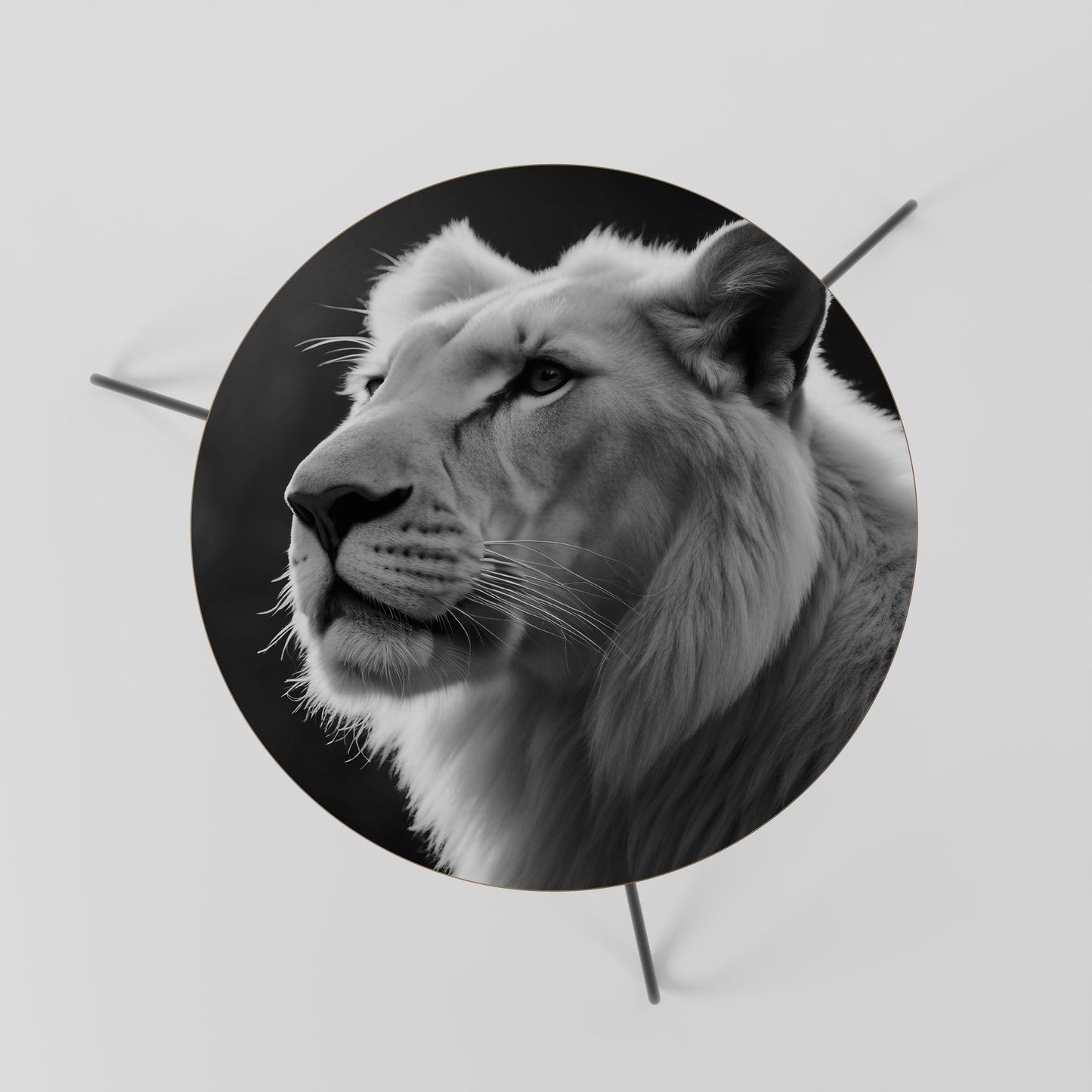 WHISPERS OF MAJESTY Coffee Table 60