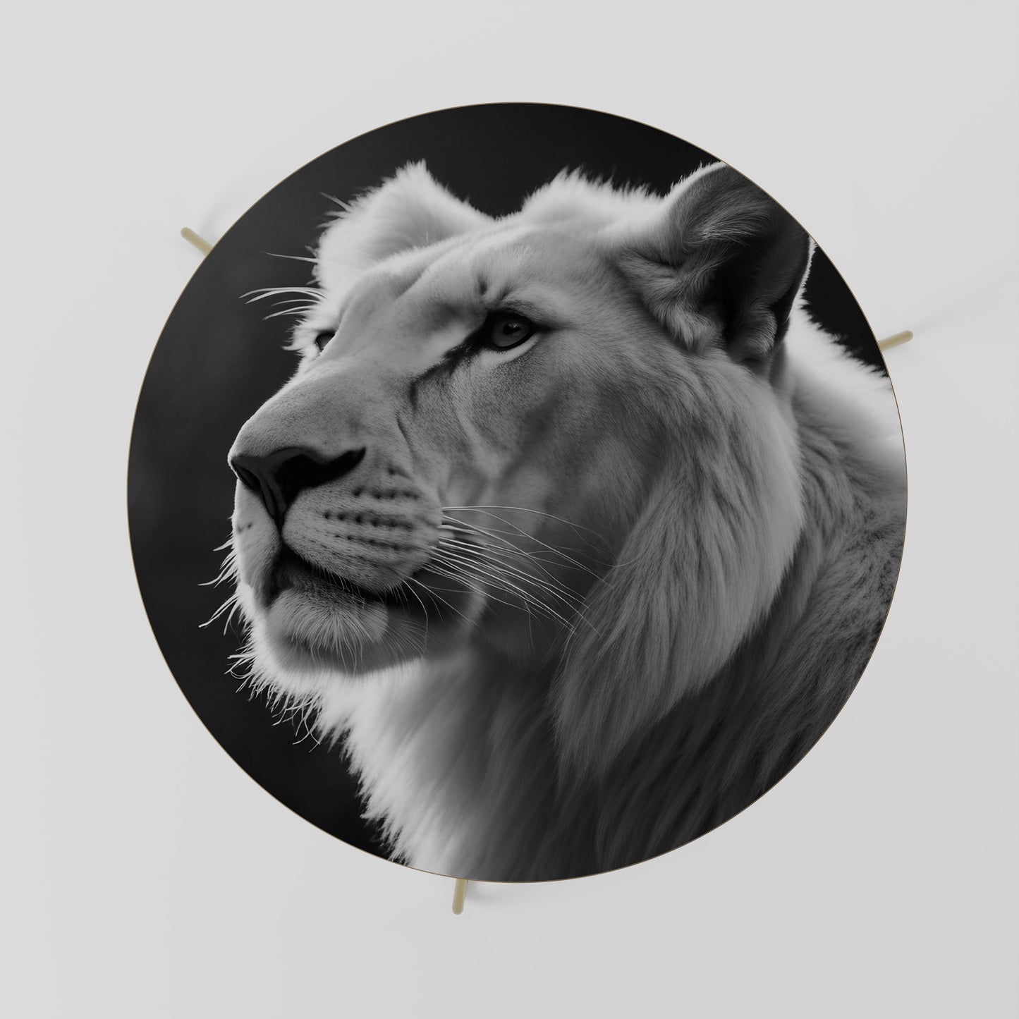 WHISPERS OF MAJESTY Coffee Table 69