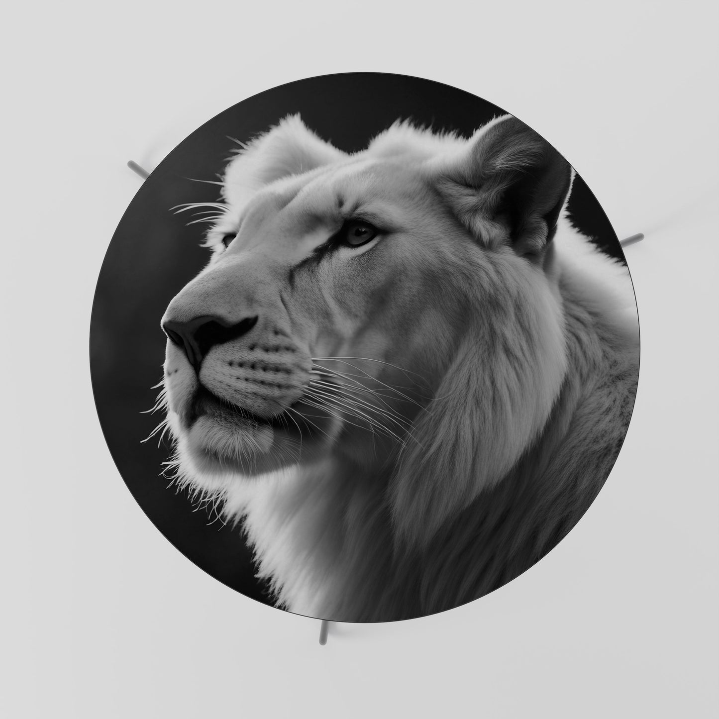 WHISPERS OF MAJESTY Coffee Table 69