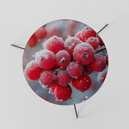 WINTER'S CRIMSON TREASURES Coffee Table 60