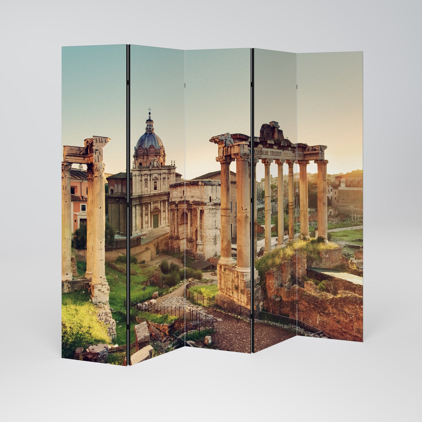 MARVELS OF THE PAST Decorative 5-Panel Room Divider