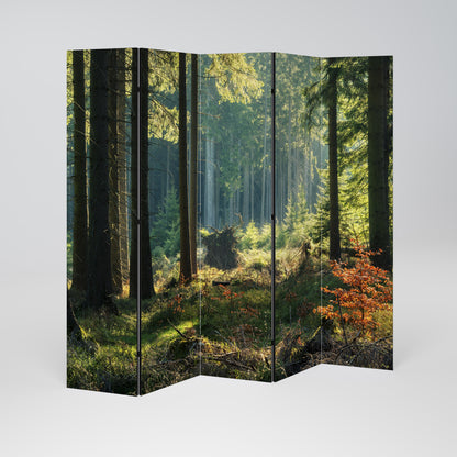 SUNLIT FOREST SERENADE Decorative 5-Panel Room Divider