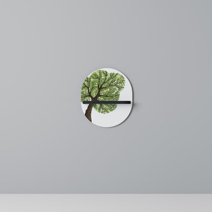 WILDERNESS DASH Oval Art Shelf In Black Finish