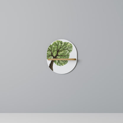 WILDERNESS DASH Oval Art Shelf In Oak Effect