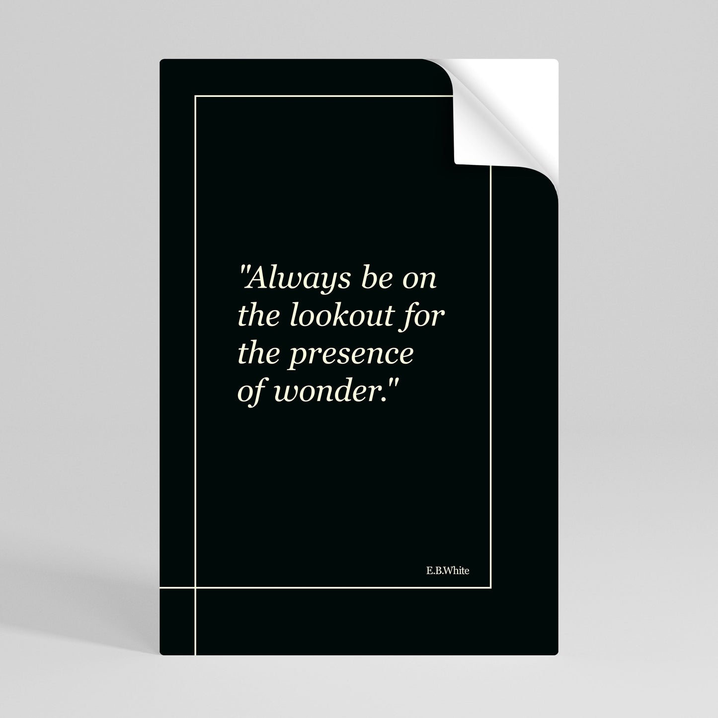 WONDERS UNVEILED Peel and Stick Vertical Poster