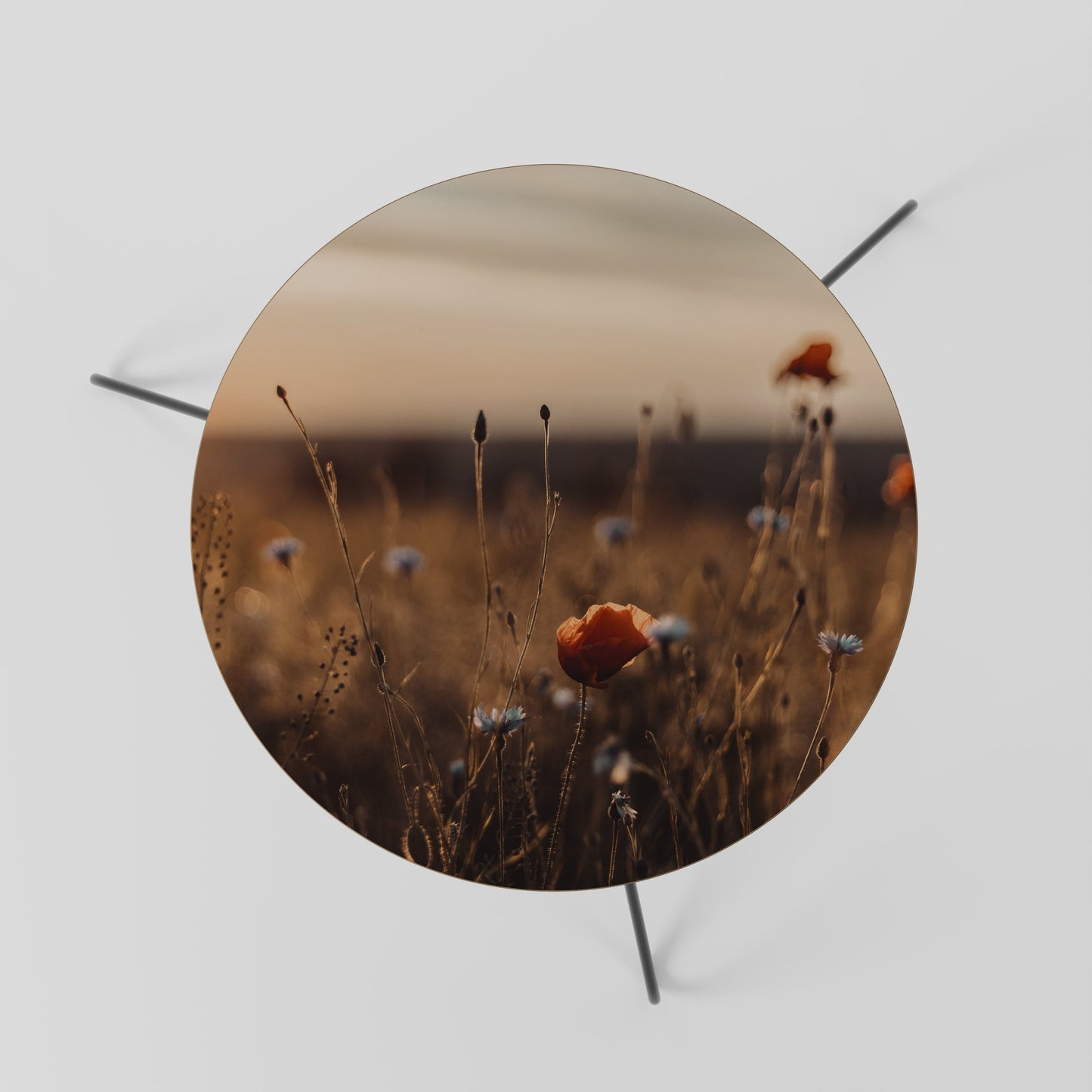 GLOWING MEADOWS AT DUSK Tavolino da Salotto Ø60