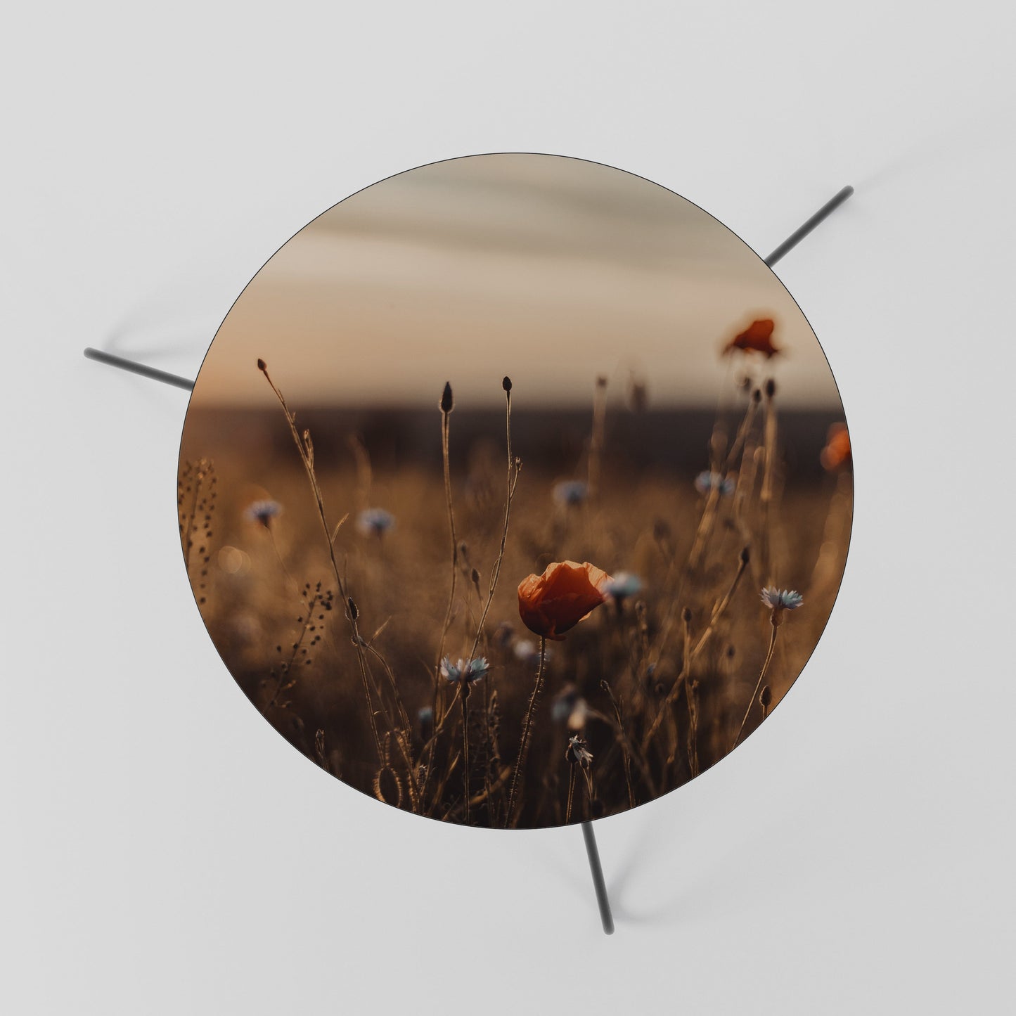 GLOWING MEADOWS AT DUSK Tavolino da Salotto Ø60