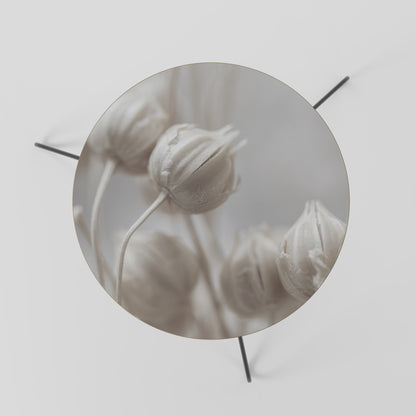 MYSTICAL BOTANICAL BLUSH Tavolino da Salotto Ø60