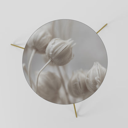 MYSTICAL BOTANICAL BLUSH Tavolino da Salotto Ø60