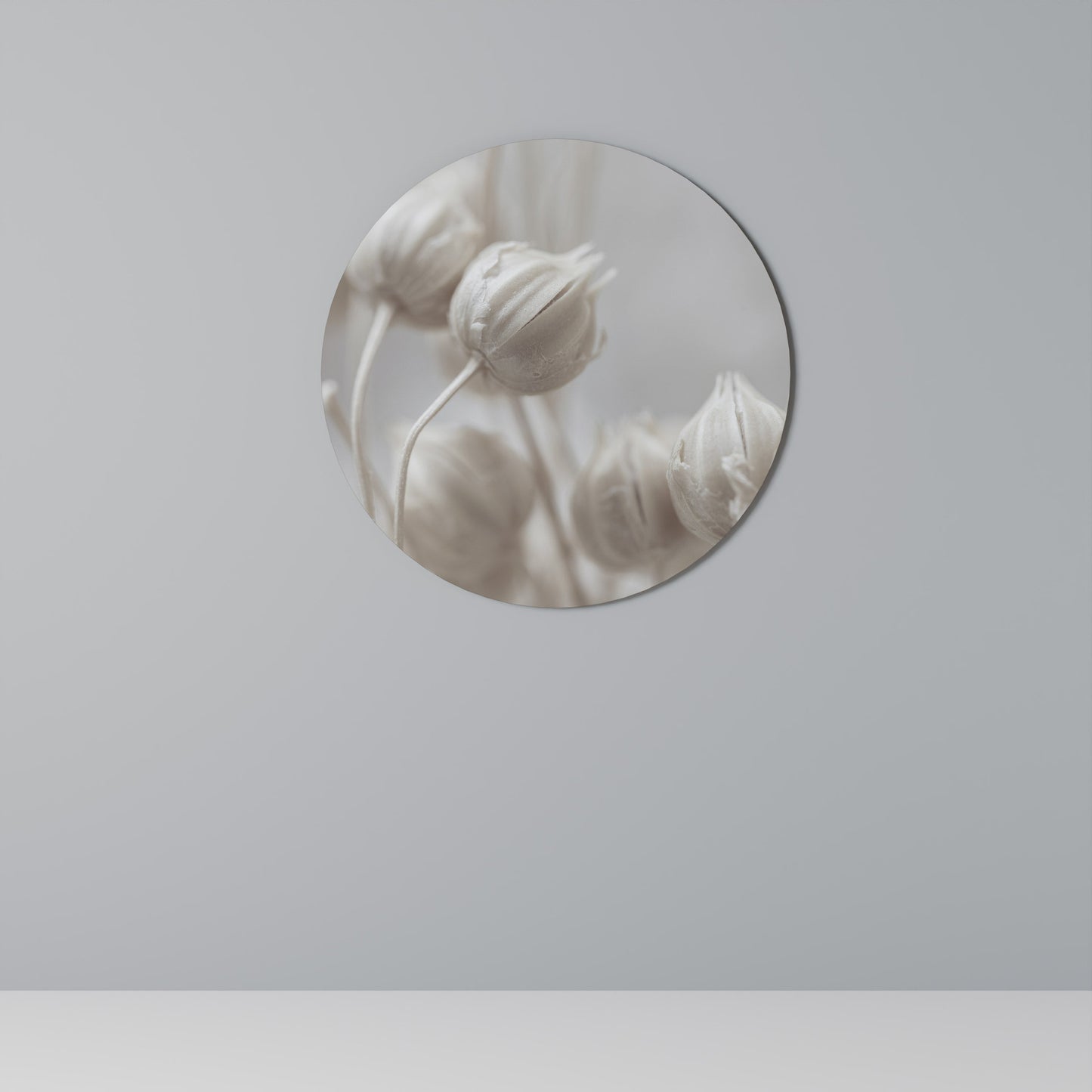 MYSTICAL BOTANICAL BLUSH Decorazione da Parete Rotonda