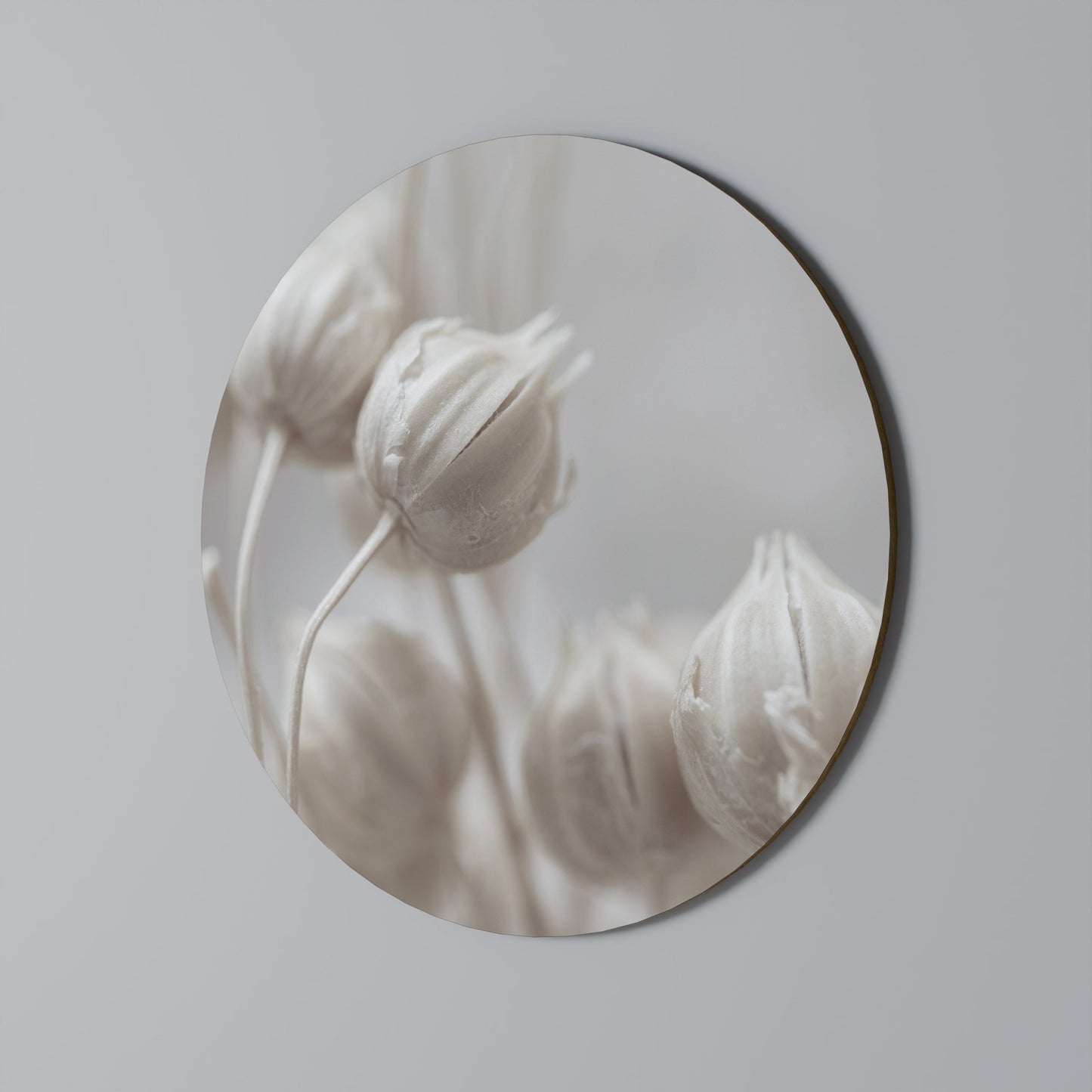 MYSTICAL BOTANICAL BLUSH Decorazione da Parete Rotonda