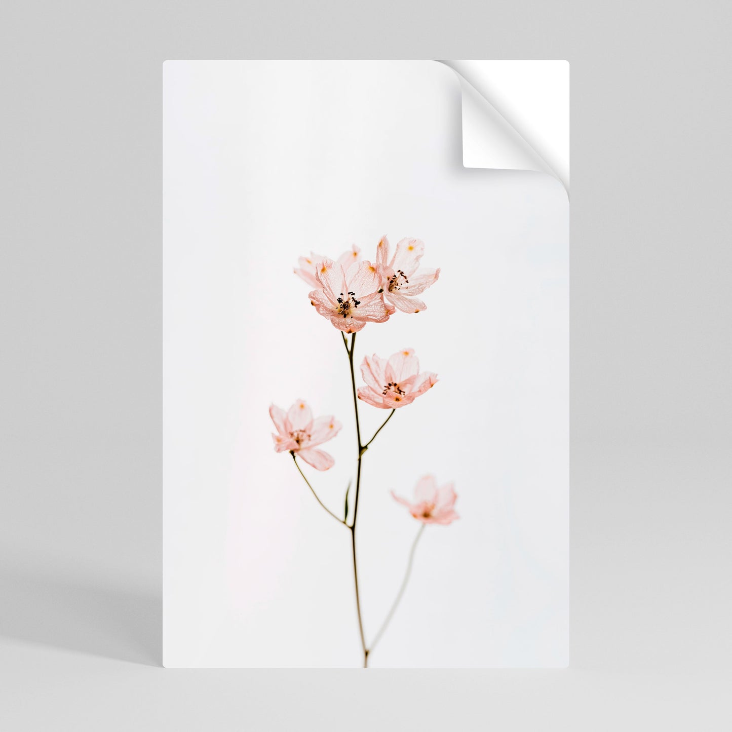 WHISPERS OF PINK Peel and Stick Vertical Poster