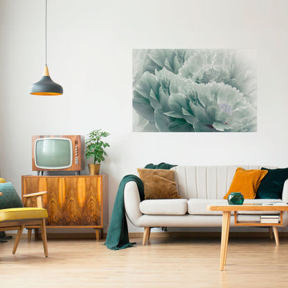 Poster orizzontale staccabile e attaccabile "PEONIE arboree"