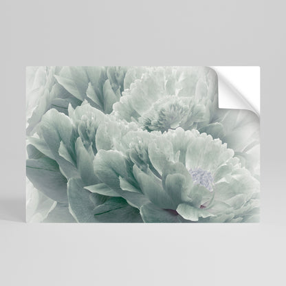 Poster orizzontale staccabile e attaccabile "PEONIE arboree"