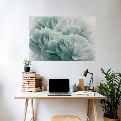 Poster orizzontale staccabile e attaccabile "PEONIE arboree"