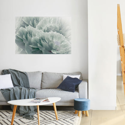 Poster orizzontale staccabile e attaccabile "PEONIE arboree"