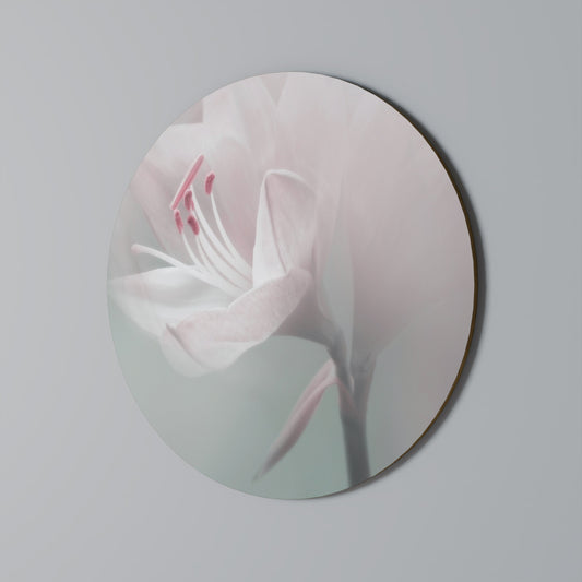 GENTLE LILY Decorazione da Parete Rotonda