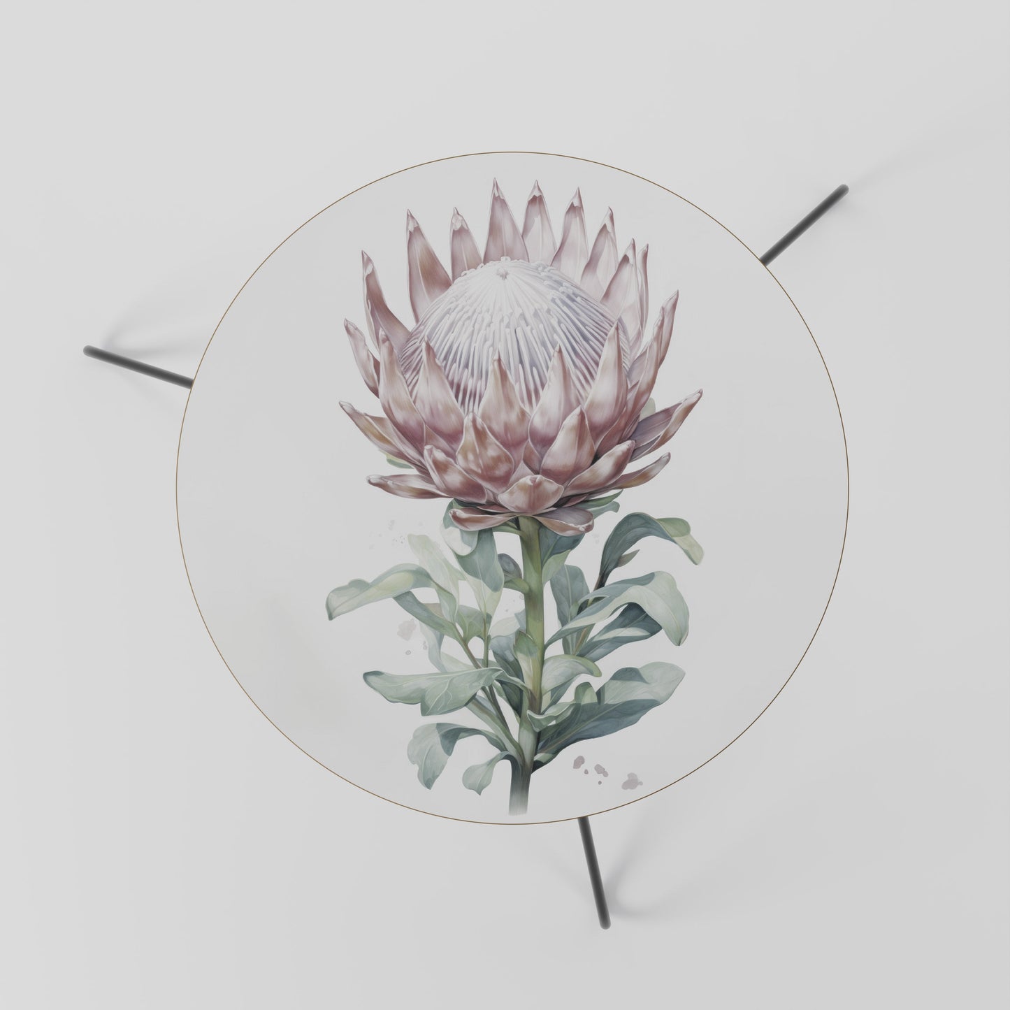 ROYAL PROTEA Tavolino da Salotto Ø60