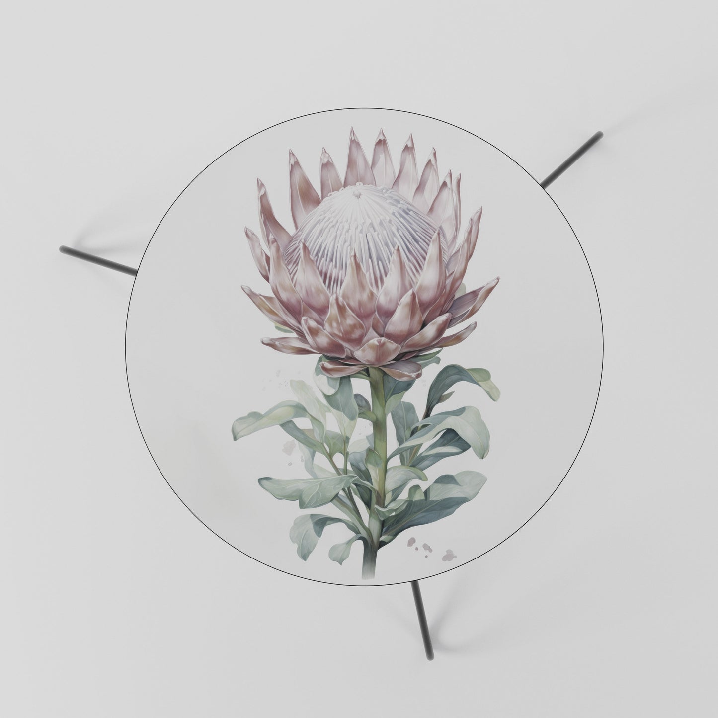 ROYAL PROTEA Tavolino da Salotto Ø60