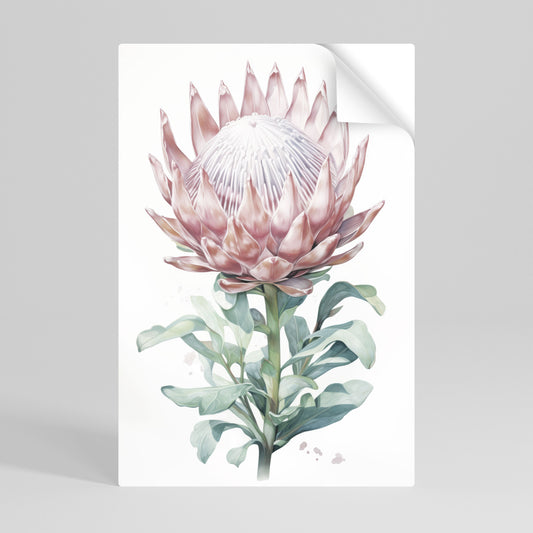 Poster verticale staccabile e attaccabile ROYAL PROTEA