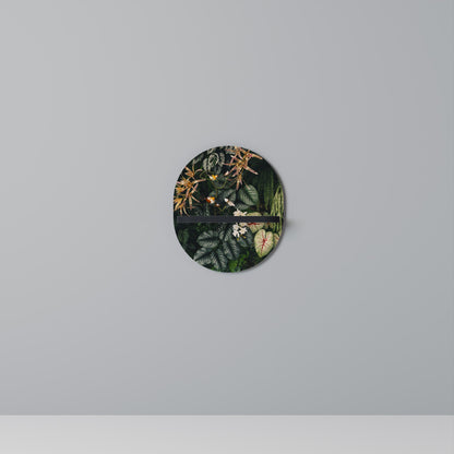 SILENT WILDERNESS Oval Art Shelf In Black Finish