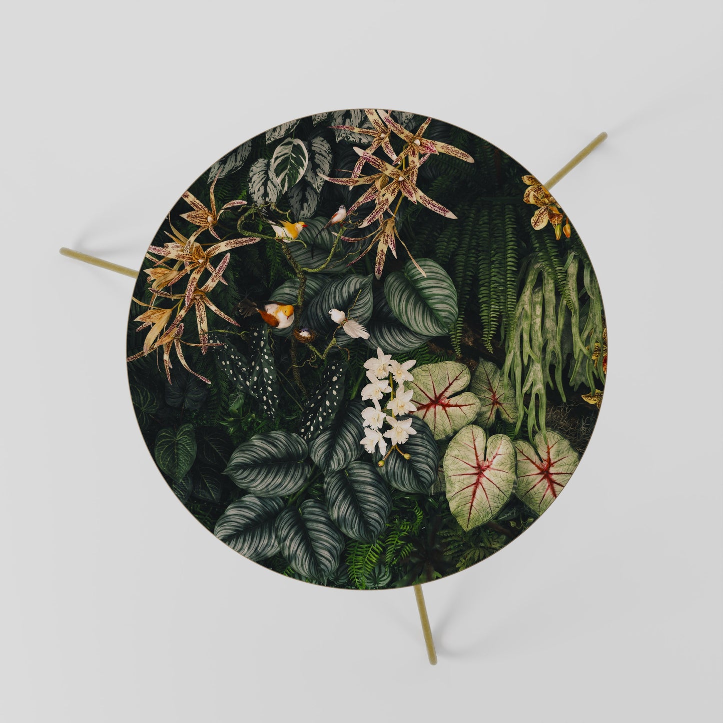 SILENT WILDERNESS Coffee Table 60