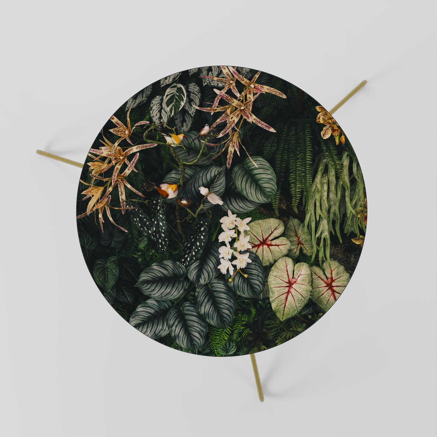 SILENT WILDERNESS Coffee Table 60