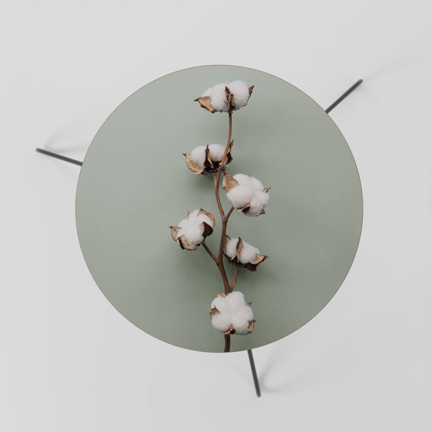 COTTON DREAMS UNFOLDED Coffee Table 60