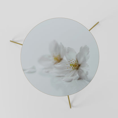 FLEETING WHITE PETALS Tavolino da Salotto Ø60