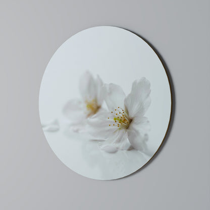 FLEETING WHITE PETALS Decorazione da Parete Rotonda