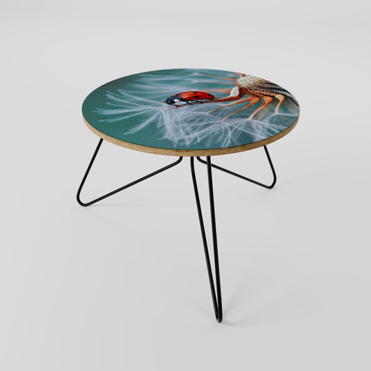 LADYBUG BALANCE Coffee Table 60
