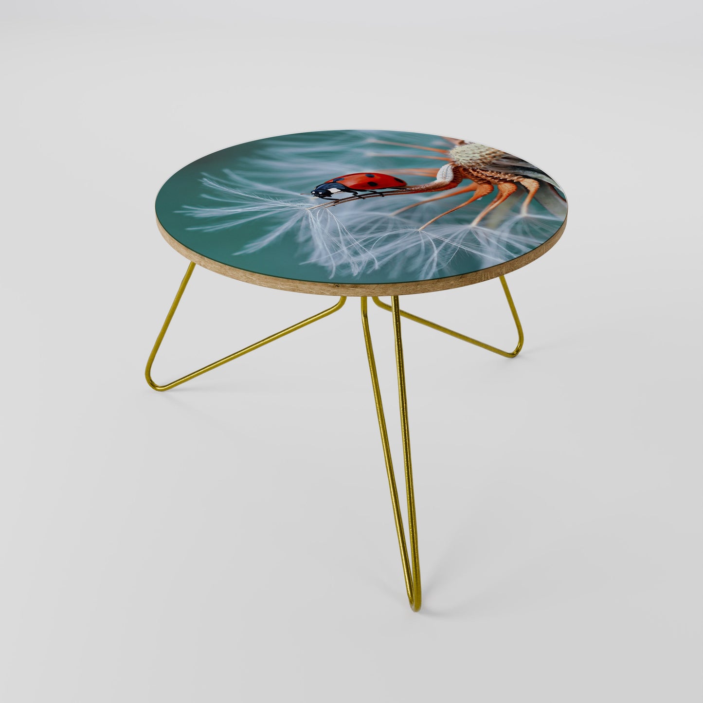 LADYBUG BALANCE Tavolino da Salotto Ø60