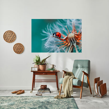 Poster orizzontale staccabile e attaccabile LADYBUG BALANCE