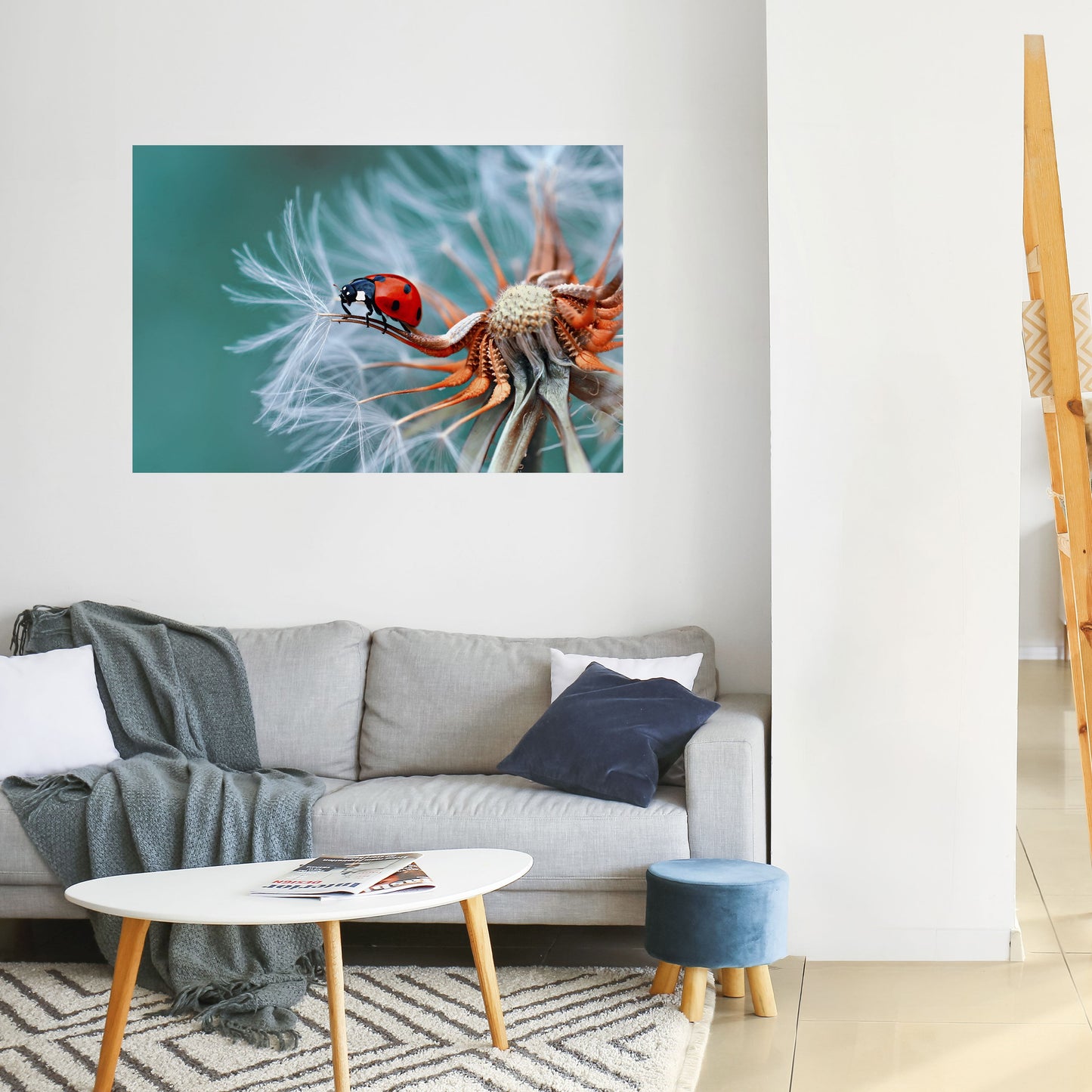 Poster orizzontale staccabile e attaccabile LADYBUG BALANCE