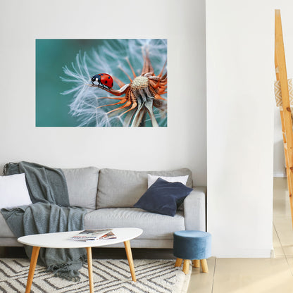 Poster orizzontale staccabile e attaccabile LADYBUG BALANCE