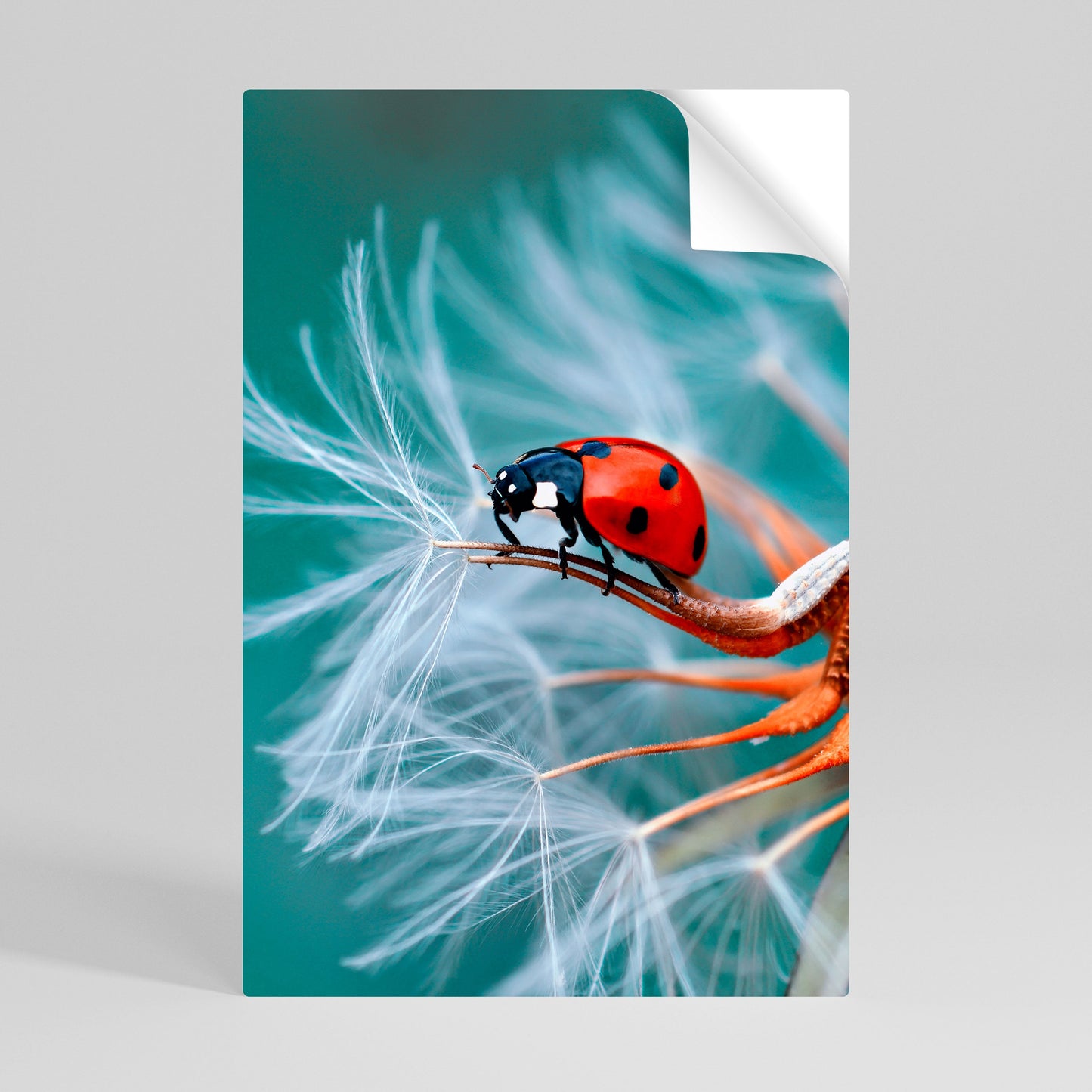 Poster verticale staccabile e attaccabile LADYBUG BALANCE