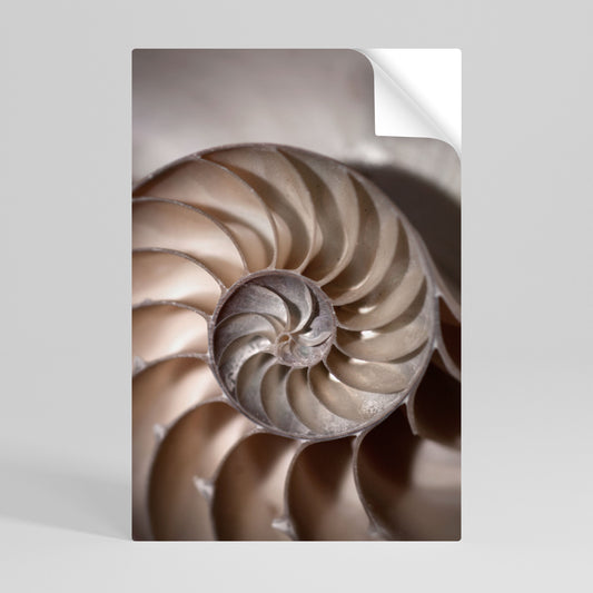 WHISPERS OF SHELLS Peel and Stick Vertical Poster