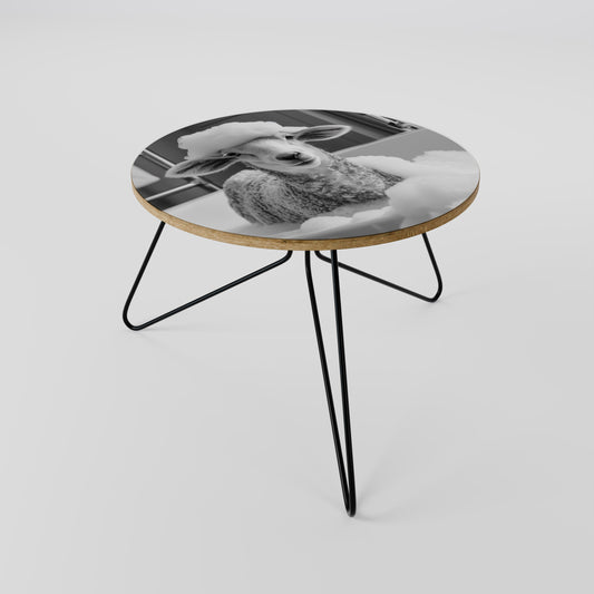 BUBBLE BATH BAA Coffee Table 60