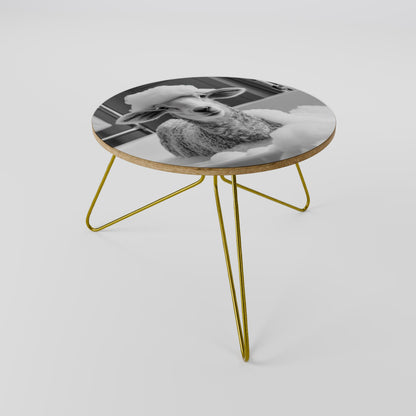 BUBBLE BATH BAA Tavolino da Salotto Ø60