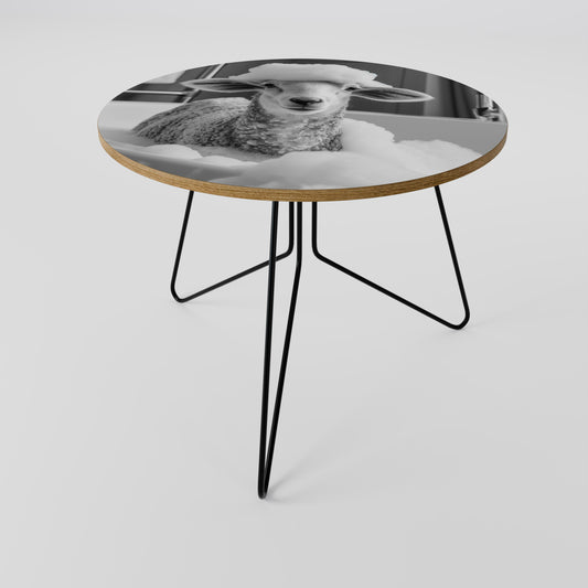 BUBBLE BATH BAA Coffee Table 69